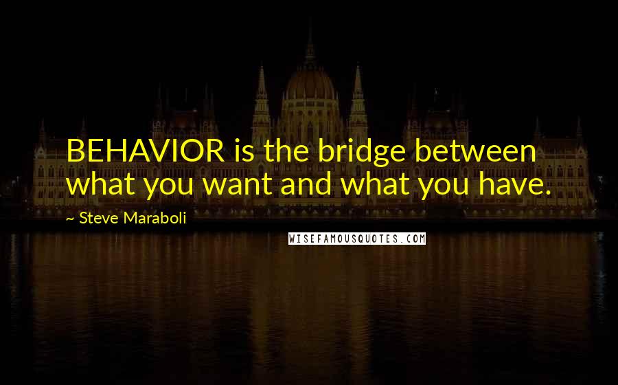 Steve Maraboli Quotes: BEHAVIOR is the bridge between what you want and what you have.