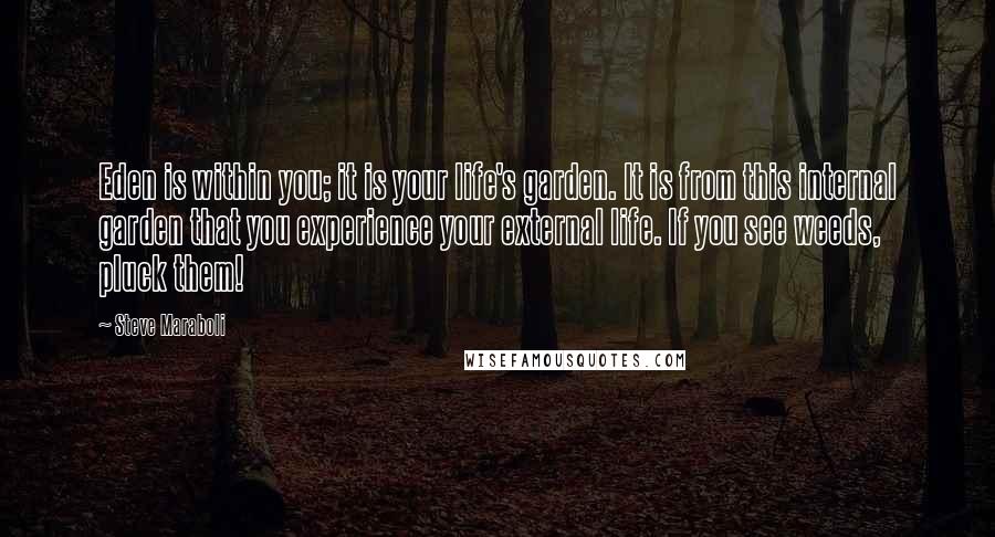 Steve Maraboli Quotes: Eden is within you; it is your life's garden. It is from this internal garden that you experience your external life. If you see weeds, pluck them!