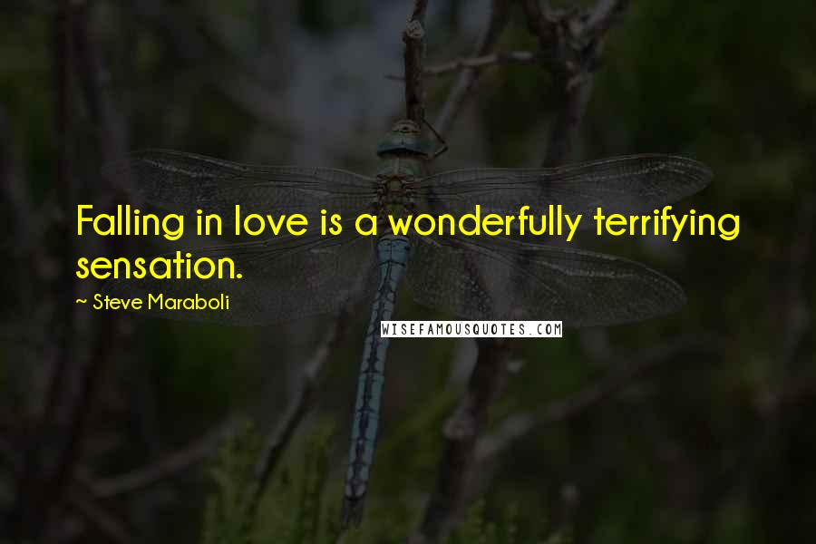 Steve Maraboli Quotes: Falling in love is a wonderfully terrifying sensation.