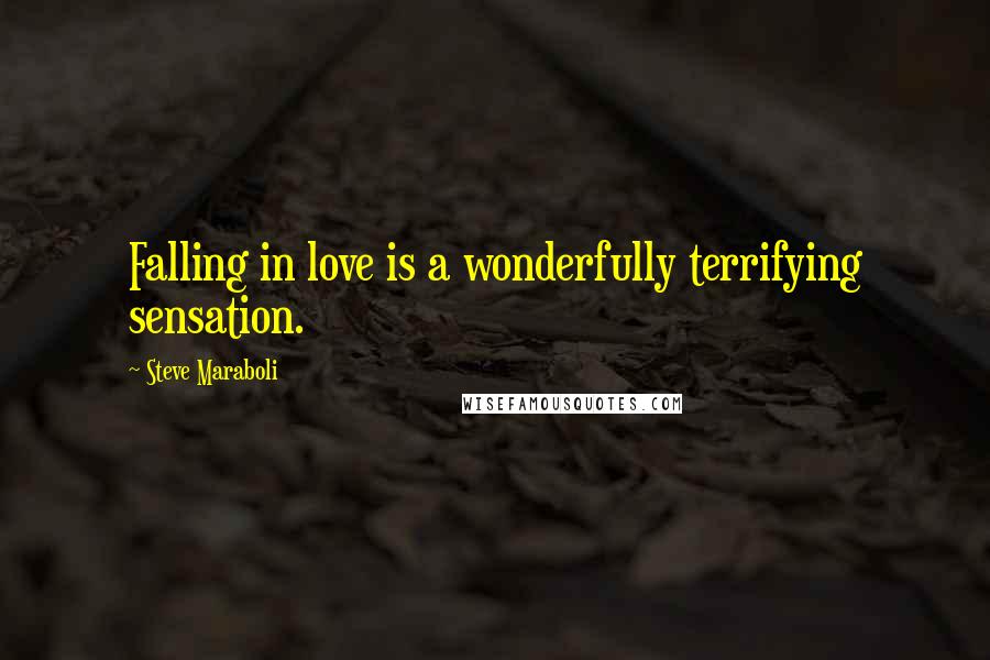Steve Maraboli Quotes: Falling in love is a wonderfully terrifying sensation.