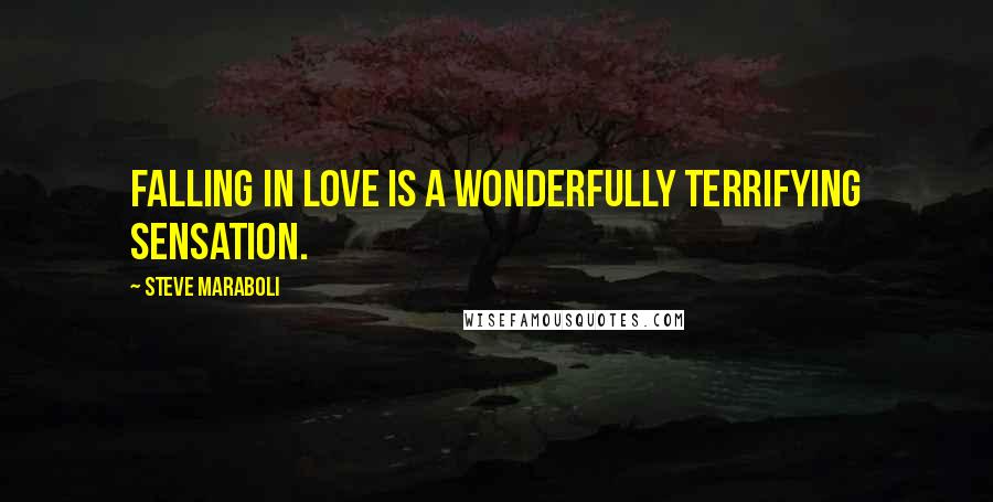 Steve Maraboli Quotes: Falling in love is a wonderfully terrifying sensation.