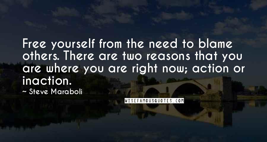 Steve Maraboli Quotes: Free yourself from the need to blame others. There are two reasons that you are where you are right now; action or inaction.