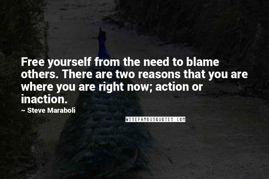Steve Maraboli Quotes: Free yourself from the need to blame others. There are two reasons that you are where you are right now; action or inaction.