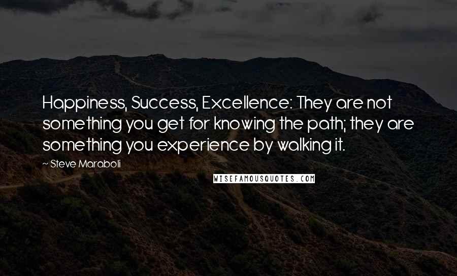 Steve Maraboli Quotes: Happiness, Success, Excellence: They are not something you get for knowing the path; they are something you experience by walking it.