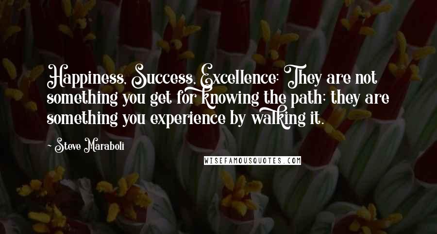 Steve Maraboli Quotes: Happiness, Success, Excellence: They are not something you get for knowing the path; they are something you experience by walking it.