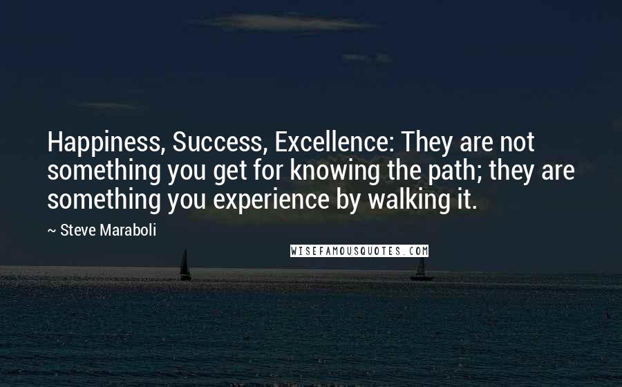 Steve Maraboli Quotes: Happiness, Success, Excellence: They are not something you get for knowing the path; they are something you experience by walking it.
