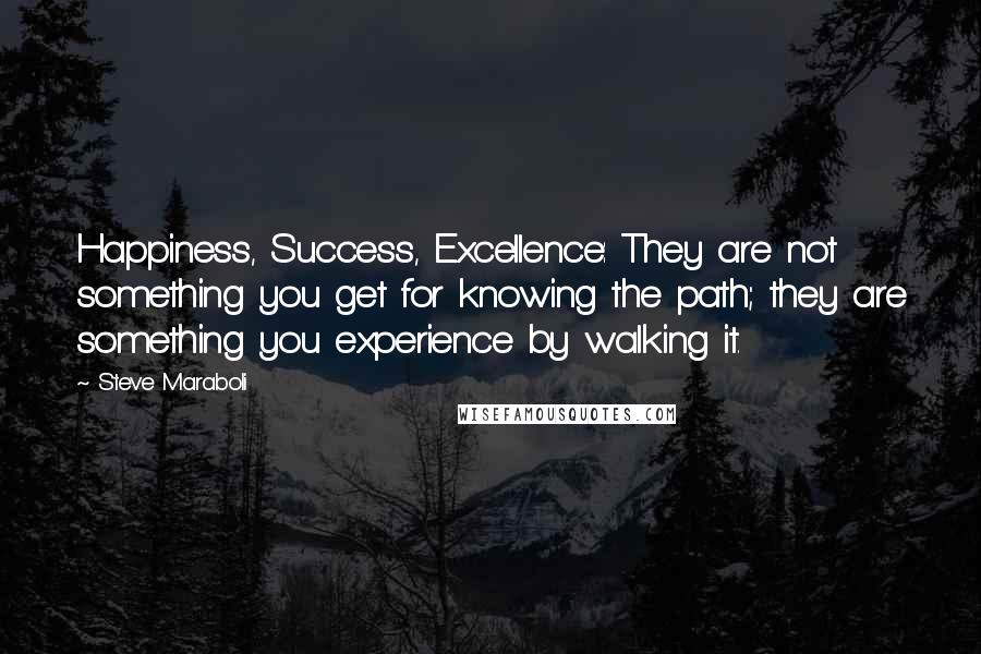 Steve Maraboli Quotes: Happiness, Success, Excellence: They are not something you get for knowing the path; they are something you experience by walking it.