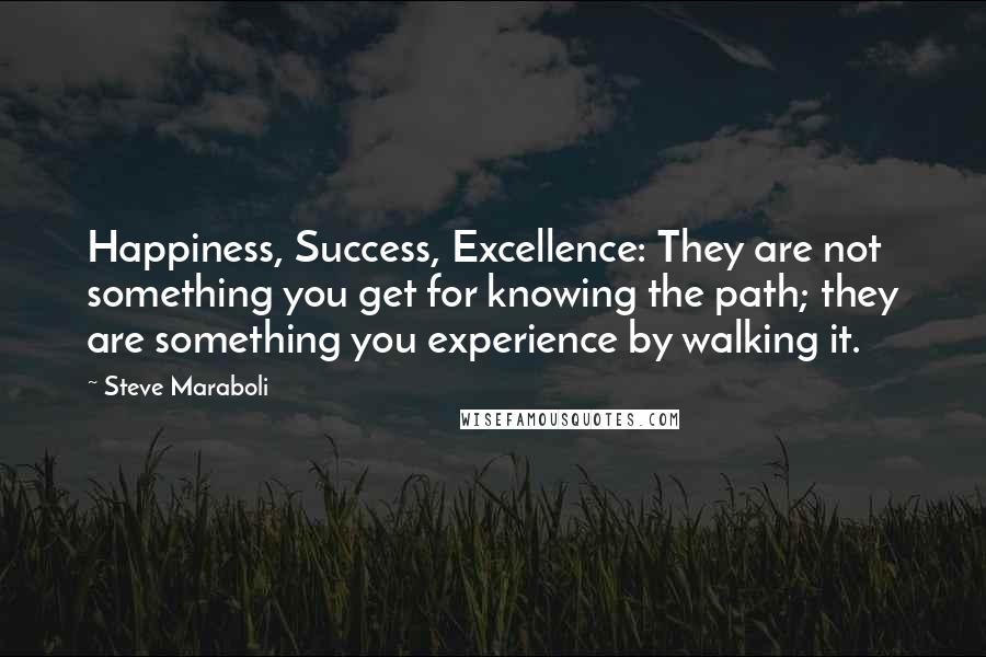 Steve Maraboli Quotes: Happiness, Success, Excellence: They are not something you get for knowing the path; they are something you experience by walking it.