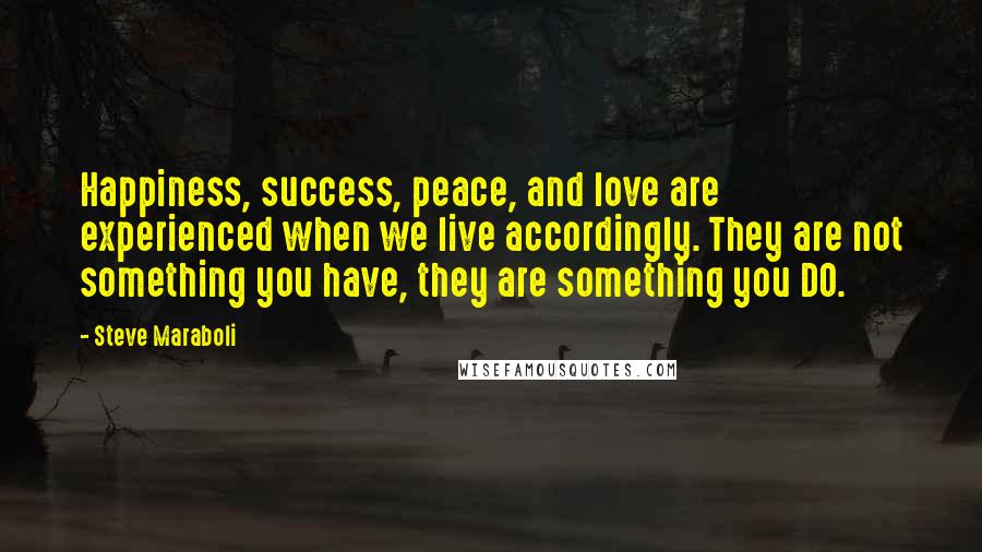 Steve Maraboli Quotes: Happiness, success, peace, and love are experienced when we live accordingly. They are not something you have, they are something you DO.