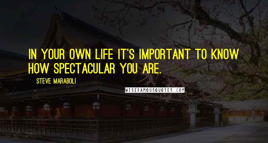 Steve Maraboli Quotes: In your own life it's important to know how spectacular you are.