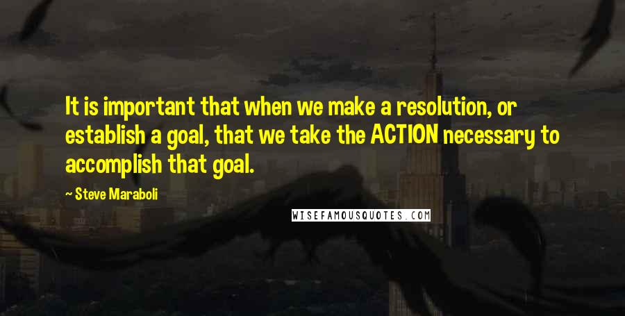 Steve Maraboli Quotes: It is important that when we make a resolution, or establish a goal, that we take the ACTION necessary to accomplish that goal.