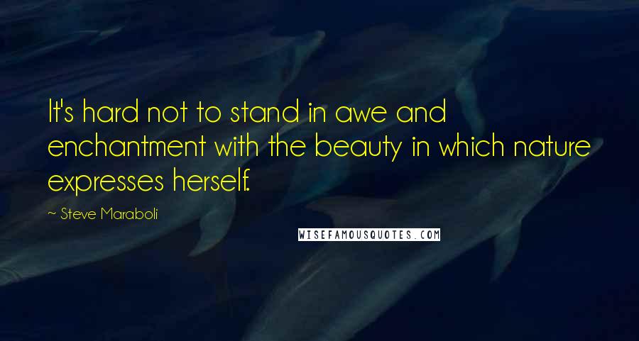 Steve Maraboli Quotes: It's hard not to stand in awe and enchantment with the beauty in which nature expresses herself.