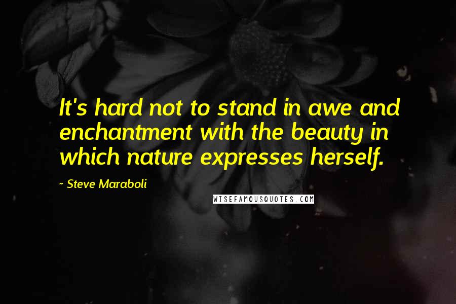 Steve Maraboli Quotes: It's hard not to stand in awe and enchantment with the beauty in which nature expresses herself.