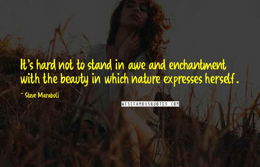 Steve Maraboli Quotes: It's hard not to stand in awe and enchantment with the beauty in which nature expresses herself.