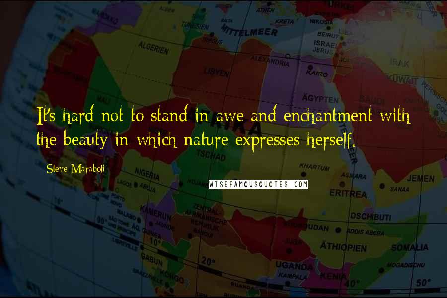 Steve Maraboli Quotes: It's hard not to stand in awe and enchantment with the beauty in which nature expresses herself.
