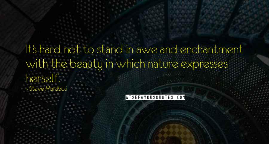 Steve Maraboli Quotes: It's hard not to stand in awe and enchantment with the beauty in which nature expresses herself.
