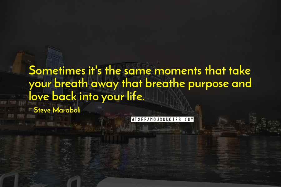 Steve Maraboli Quotes: Sometimes it's the same moments that take your breath away that breathe purpose and love back into your life.