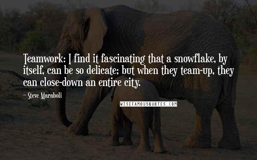 Steve Maraboli Quotes: Teamwork: I find it fascinating that a snowflake, by itself, can be so delicate; but when they team-up, they can close-down an entire city.