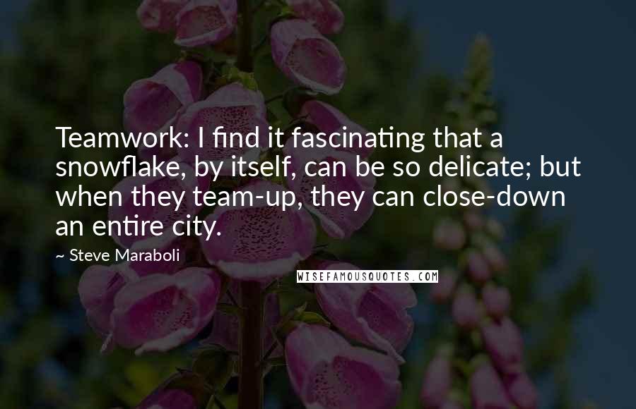 Steve Maraboli Quotes: Teamwork: I find it fascinating that a snowflake, by itself, can be so delicate; but when they team-up, they can close-down an entire city.