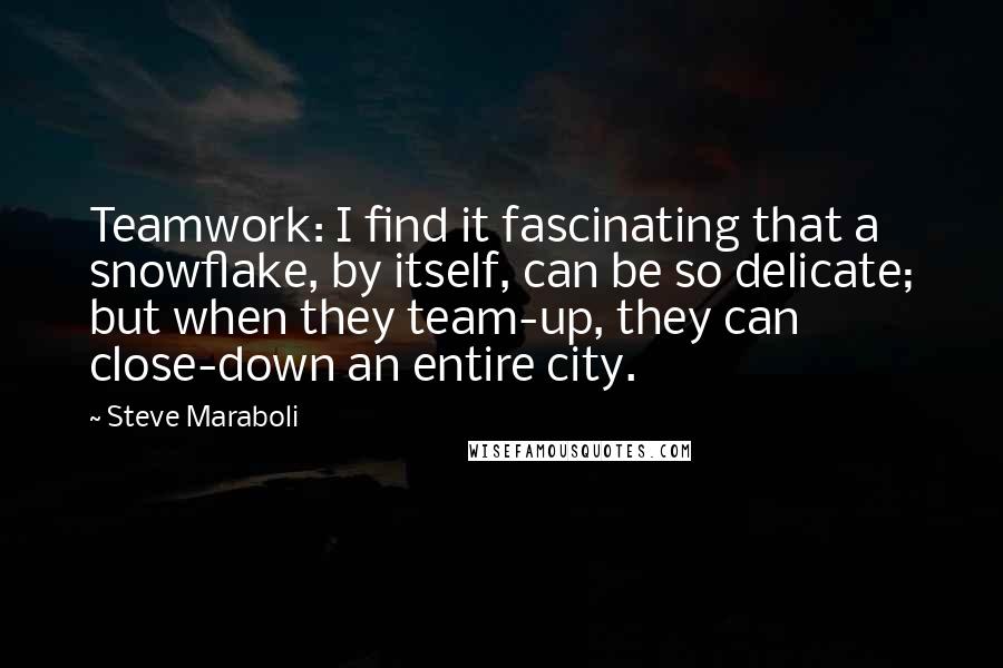 Steve Maraboli Quotes: Teamwork: I find it fascinating that a snowflake, by itself, can be so delicate; but when they team-up, they can close-down an entire city.