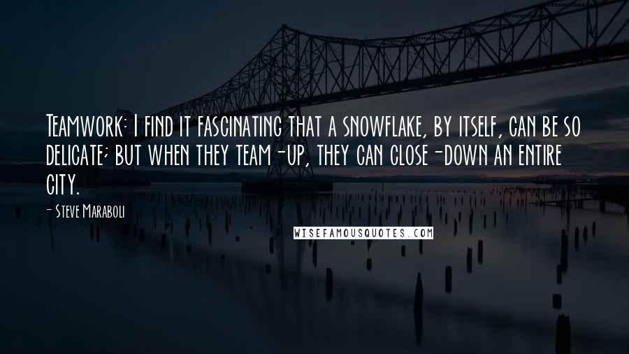 Steve Maraboli Quotes: Teamwork: I find it fascinating that a snowflake, by itself, can be so delicate; but when they team-up, they can close-down an entire city.