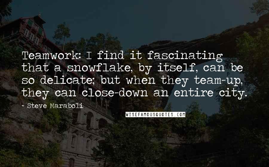 Steve Maraboli Quotes: Teamwork: I find it fascinating that a snowflake, by itself, can be so delicate; but when they team-up, they can close-down an entire city.