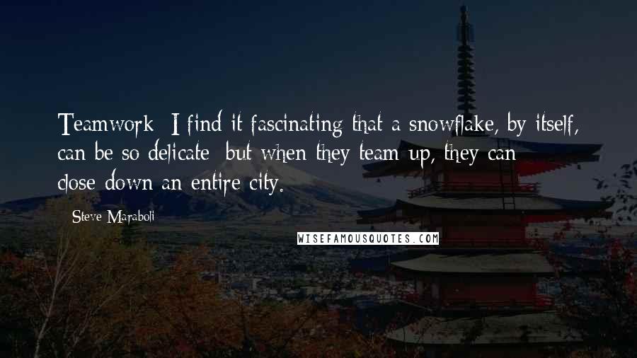 Steve Maraboli Quotes: Teamwork: I find it fascinating that a snowflake, by itself, can be so delicate; but when they team-up, they can close-down an entire city.