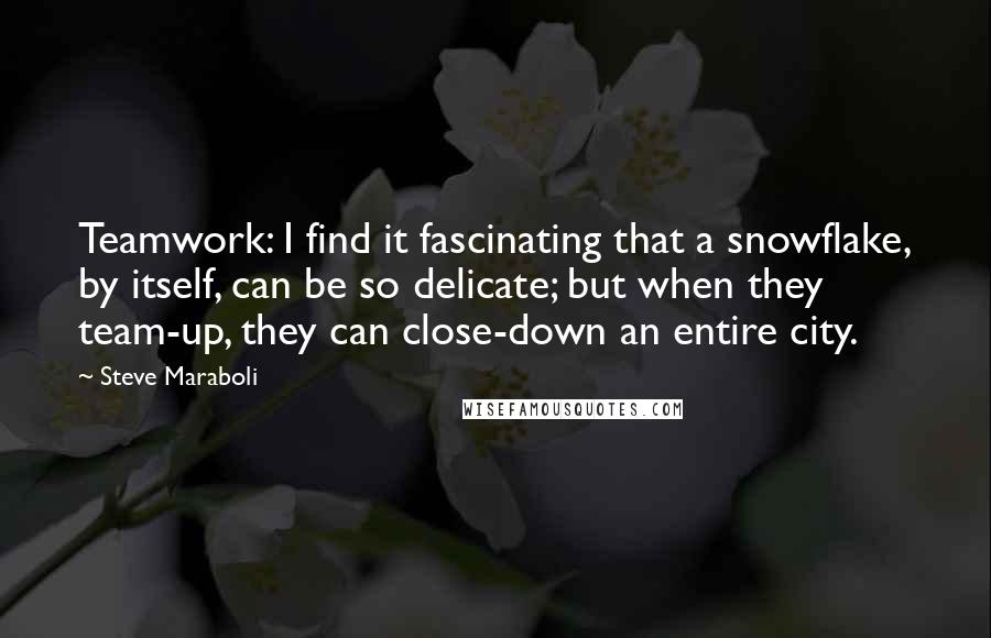 Steve Maraboli Quotes: Teamwork: I find it fascinating that a snowflake, by itself, can be so delicate; but when they team-up, they can close-down an entire city.