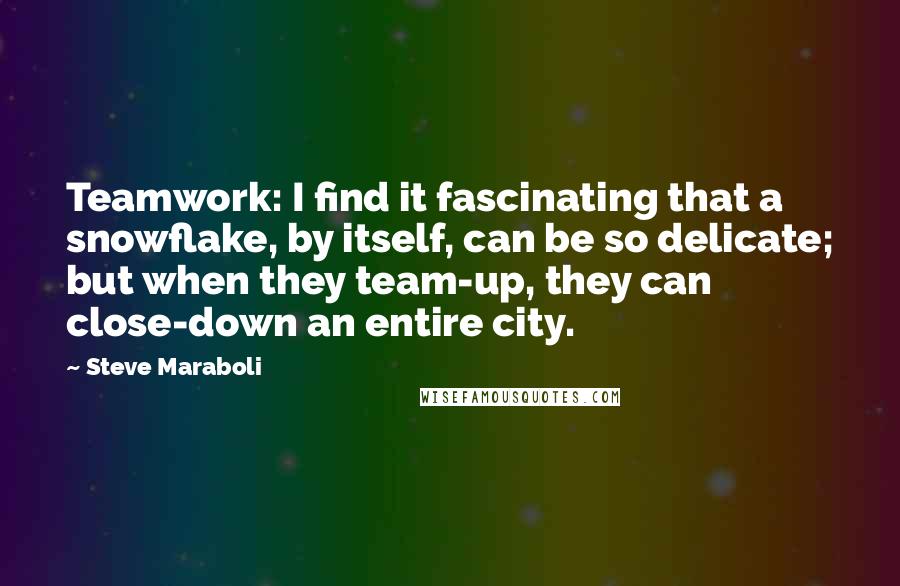 Steve Maraboli Quotes: Teamwork: I find it fascinating that a snowflake, by itself, can be so delicate; but when they team-up, they can close-down an entire city.
