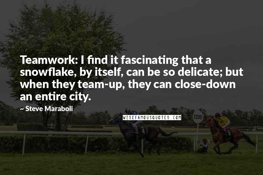 Steve Maraboli Quotes: Teamwork: I find it fascinating that a snowflake, by itself, can be so delicate; but when they team-up, they can close-down an entire city.