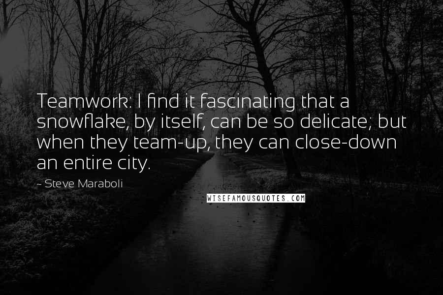 Steve Maraboli Quotes: Teamwork: I find it fascinating that a snowflake, by itself, can be so delicate; but when they team-up, they can close-down an entire city.