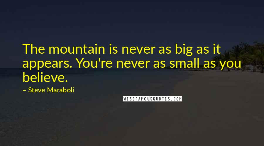 Steve Maraboli Quotes: The mountain is never as big as it appears. You're never as small as you believe.