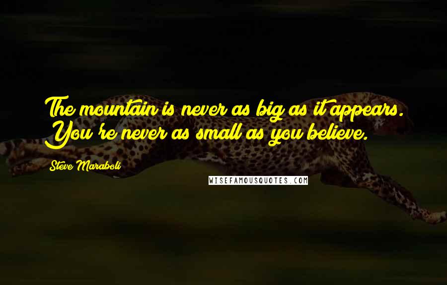 Steve Maraboli Quotes: The mountain is never as big as it appears. You're never as small as you believe.