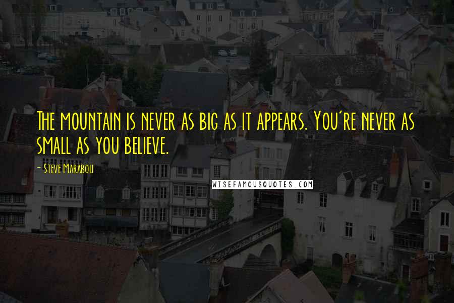 Steve Maraboli Quotes: The mountain is never as big as it appears. You're never as small as you believe.