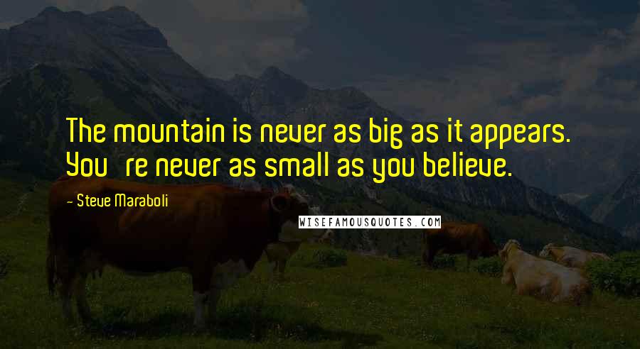 Steve Maraboli Quotes: The mountain is never as big as it appears. You're never as small as you believe.