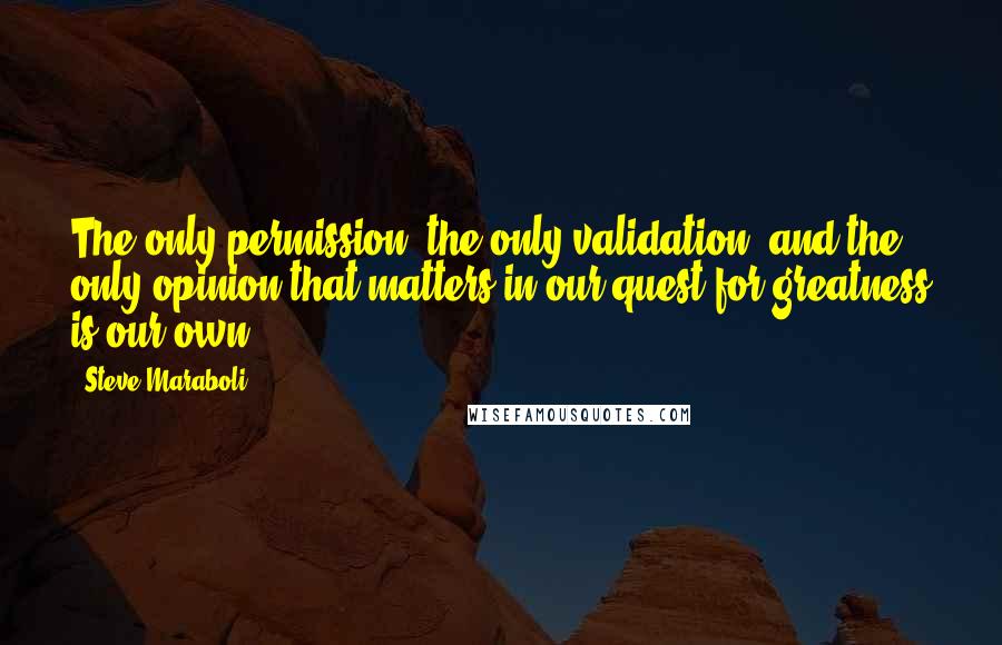 Steve Maraboli Quotes: The only permission, the only validation, and the only opinion that matters in our quest for greatness is our own.