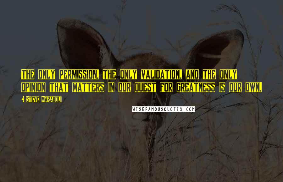 Steve Maraboli Quotes: The only permission, the only validation, and the only opinion that matters in our quest for greatness is our own.