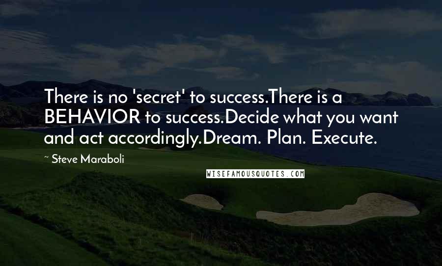Steve Maraboli Quotes: There is no 'secret' to success.There is a BEHAVIOR to success.Decide what you want and act accordingly.Dream. Plan. Execute.