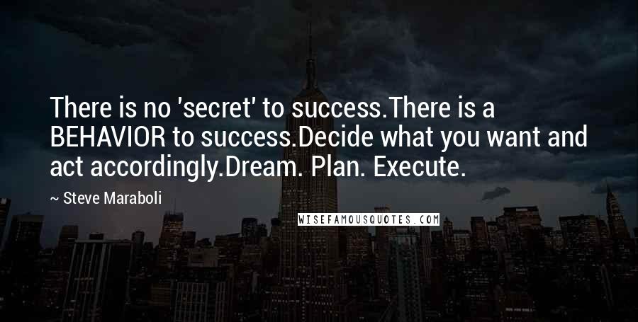 Steve Maraboli Quotes: There is no 'secret' to success.There is a BEHAVIOR to success.Decide what you want and act accordingly.Dream. Plan. Execute.