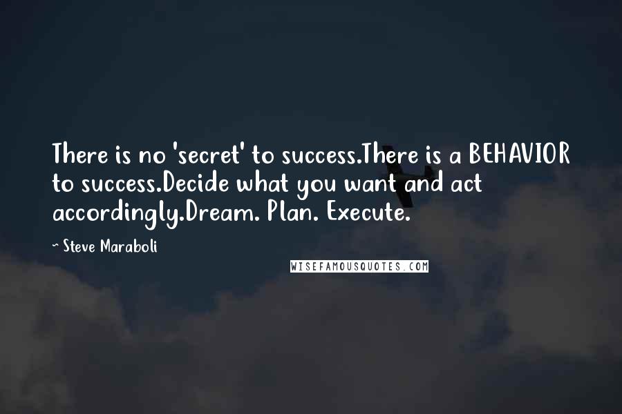 Steve Maraboli Quotes: There is no 'secret' to success.There is a BEHAVIOR to success.Decide what you want and act accordingly.Dream. Plan. Execute.