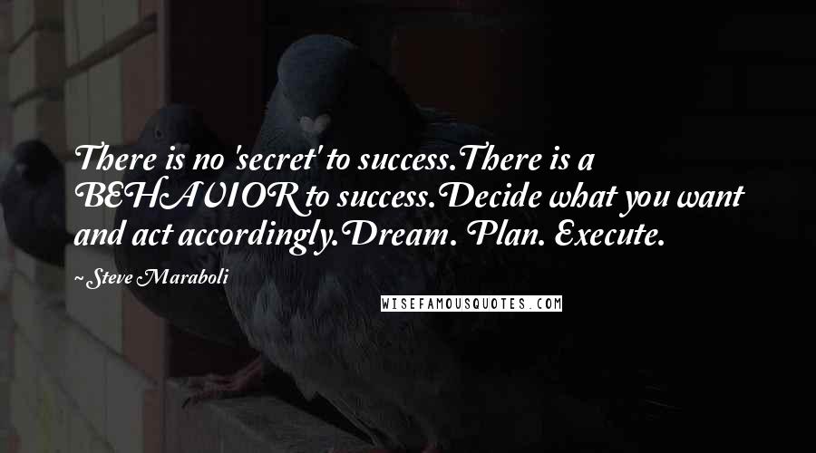 Steve Maraboli Quotes: There is no 'secret' to success.There is a BEHAVIOR to success.Decide what you want and act accordingly.Dream. Plan. Execute.