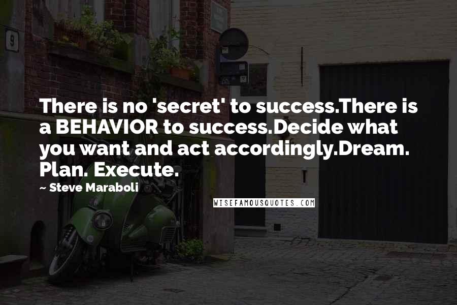 Steve Maraboli Quotes: There is no 'secret' to success.There is a BEHAVIOR to success.Decide what you want and act accordingly.Dream. Plan. Execute.