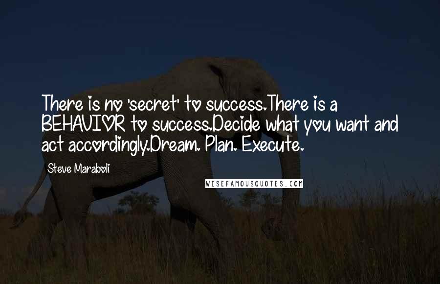 Steve Maraboli Quotes: There is no 'secret' to success.There is a BEHAVIOR to success.Decide what you want and act accordingly.Dream. Plan. Execute.