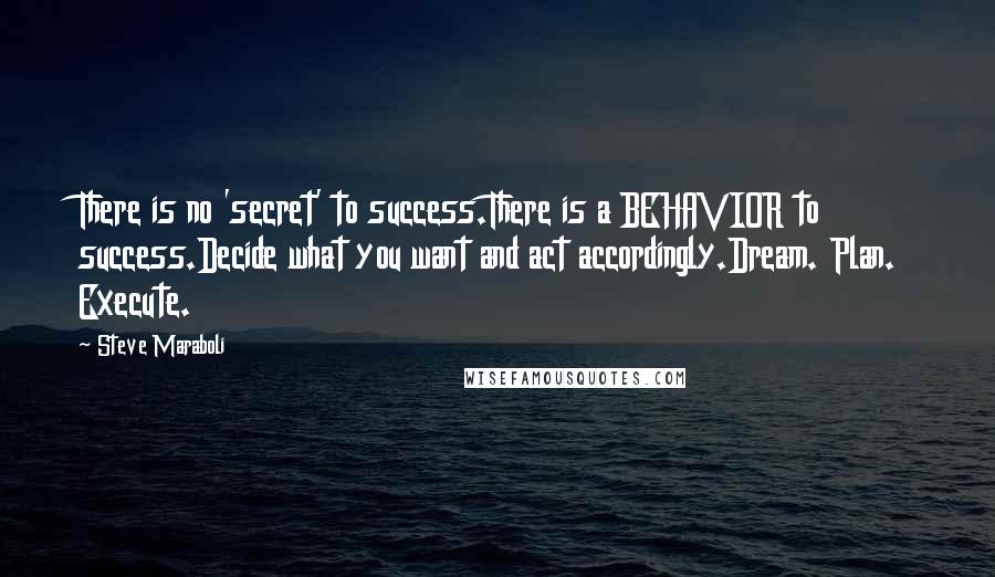 Steve Maraboli Quotes: There is no 'secret' to success.There is a BEHAVIOR to success.Decide what you want and act accordingly.Dream. Plan. Execute.