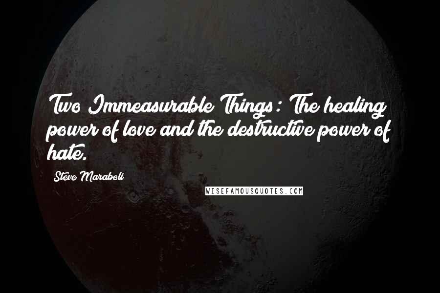 Steve Maraboli Quotes: Two Immeasurable Things: The healing power of love and the destructive power of hate.