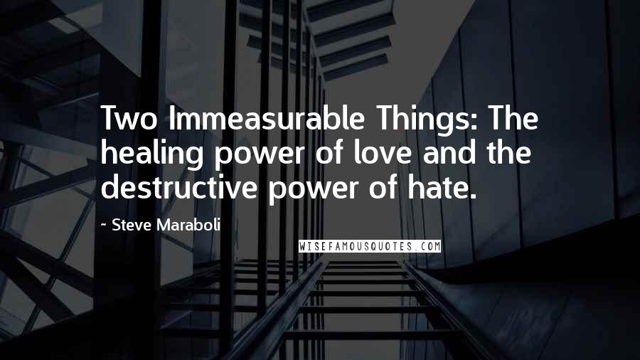 Steve Maraboli Quotes: Two Immeasurable Things: The healing power of love and the destructive power of hate.