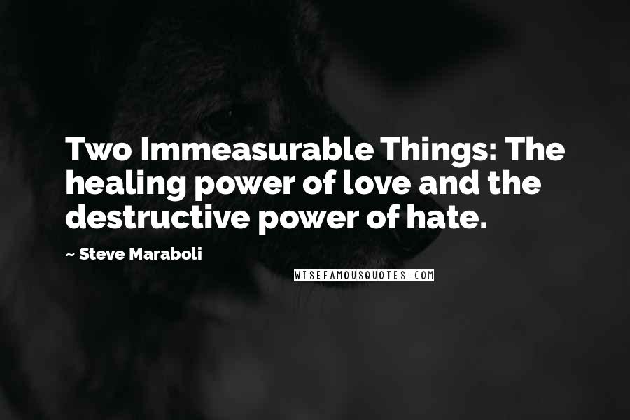 Steve Maraboli Quotes: Two Immeasurable Things: The healing power of love and the destructive power of hate.