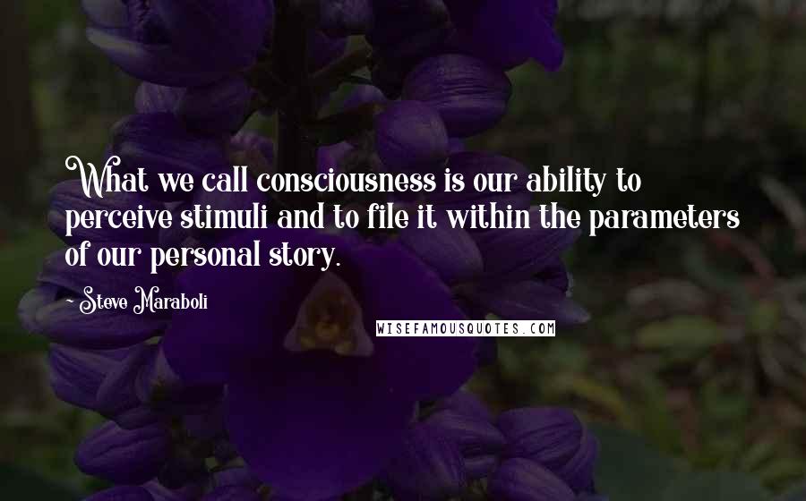 Steve Maraboli Quotes: What we call consciousness is our ability to perceive stimuli and to file it within the parameters of our personal story.