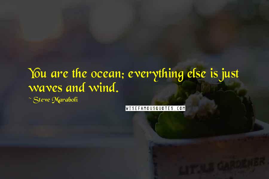 Steve Maraboli Quotes: You are the ocean; everything else is just waves and wind.