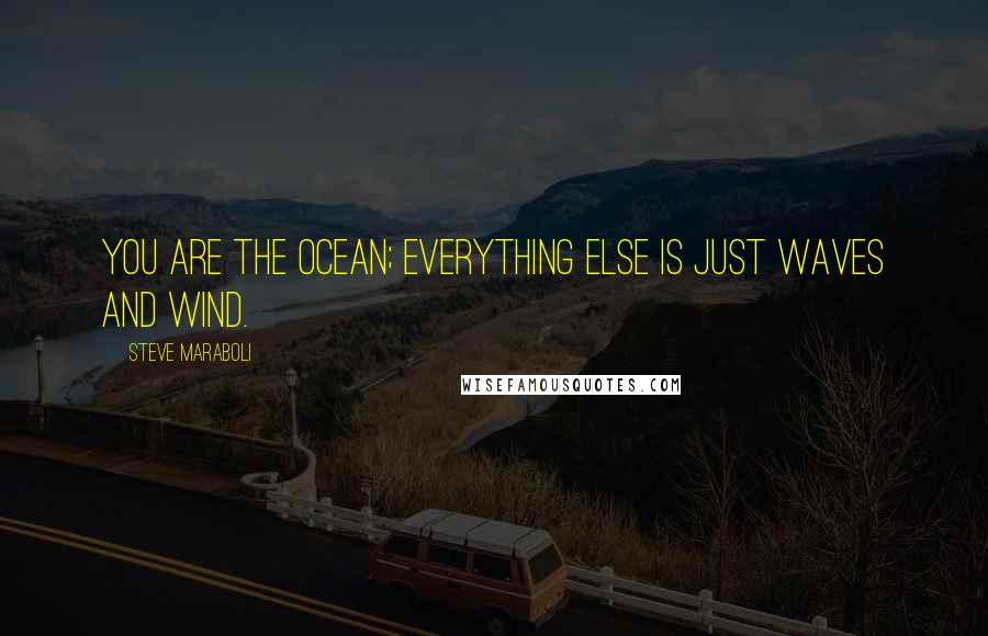 Steve Maraboli Quotes: You are the ocean; everything else is just waves and wind.